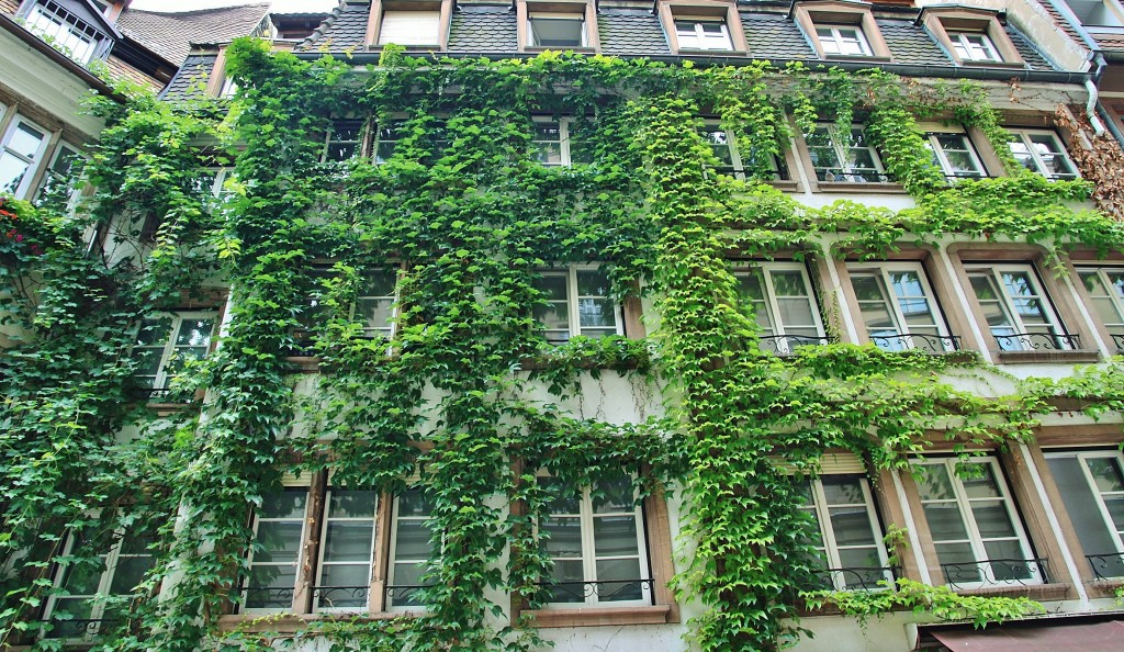 Foto: Centro histórico - Estrasburgo (Alsace), Francia