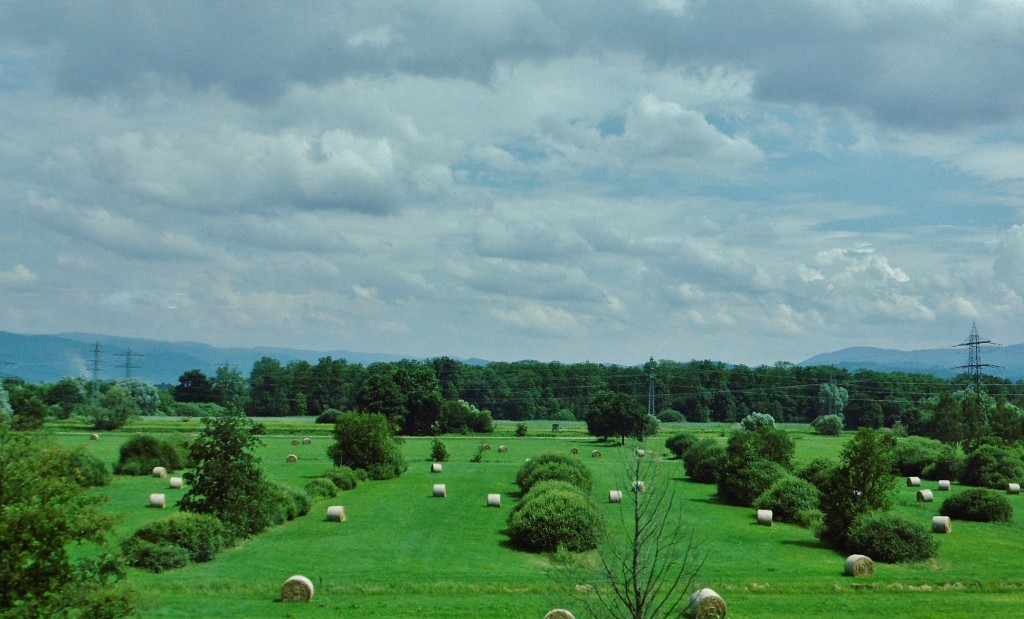 Foto: Paisaje - Baden-Baden (Baden-Württemberg), Alemania