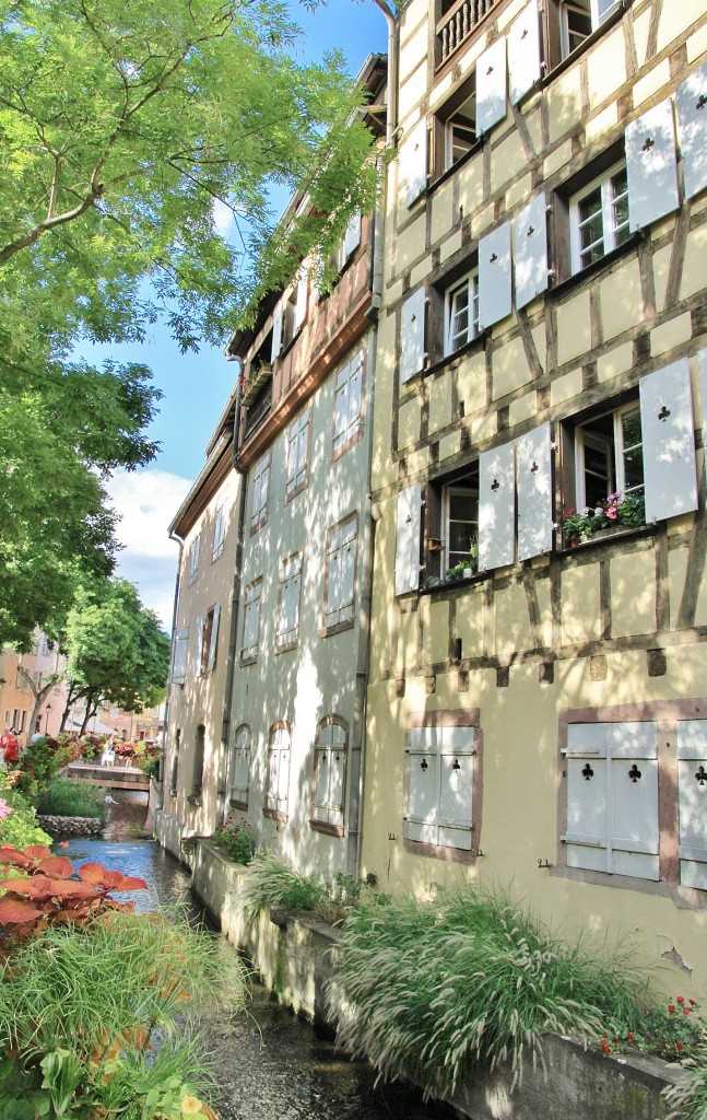 Foto: Centro histórico - Colmar (Alsace), Francia