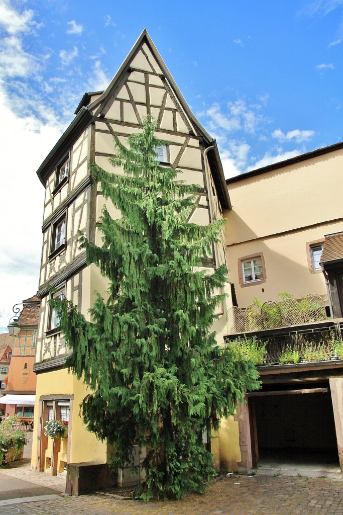 Foto: Centro histórico - Colmar (Alsace), Francia