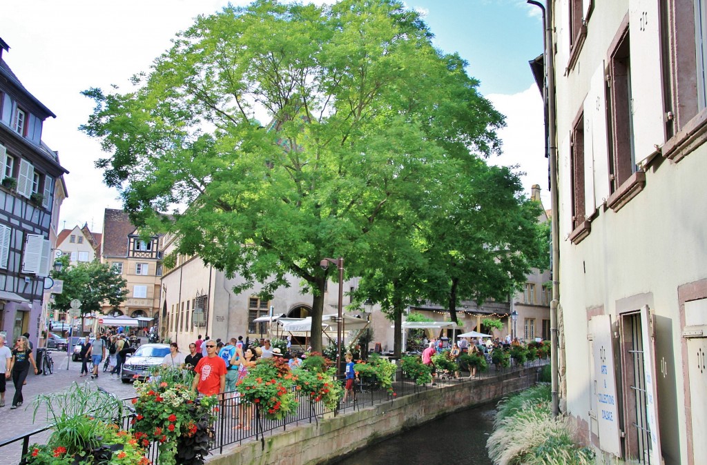 Foto: Centro histórico - Colmar (Alsace), Francia