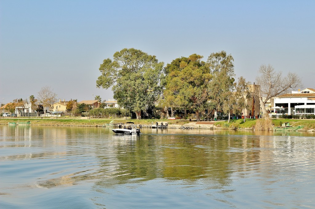 Foto: Navegando por el río Ebro - Deltebre (Tarragona), España