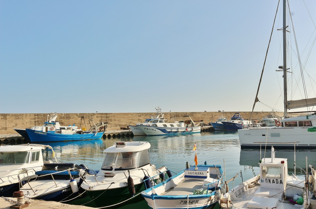 Foto: Puerto - L´Ametlla de Mar (Tarragona), España