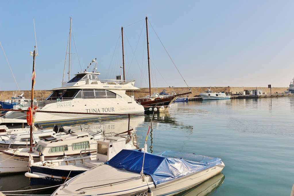 Foto: Puerto - L´Ametlla de Mar (Tarragona), España