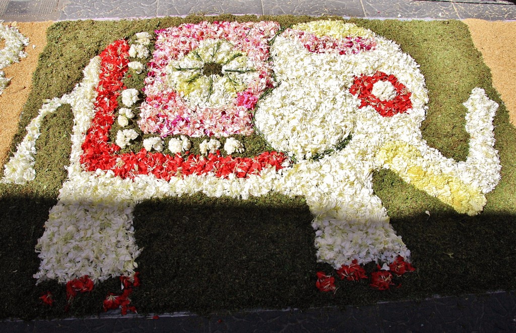 Foto: Alfombra de flores - Sitges (Barcelona), España