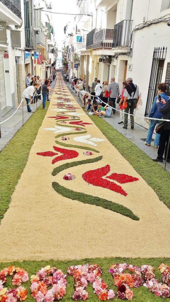 Foto: Alfombra de flores - Sitges (Barcelona), España