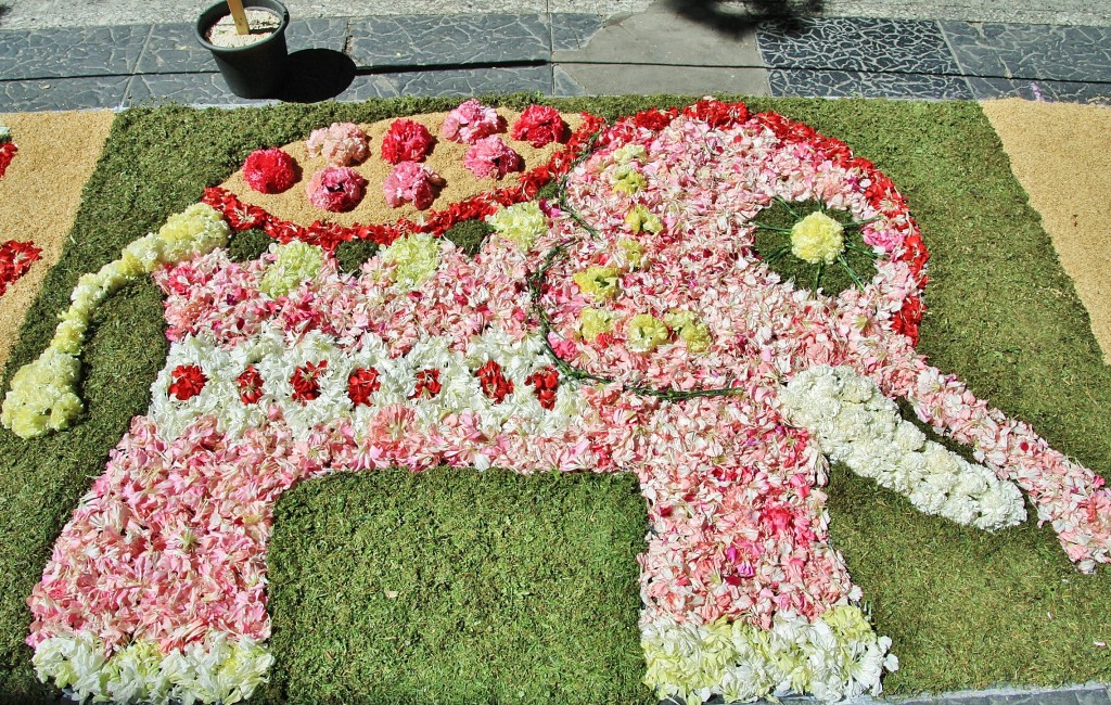 Foto: Alfombra de flores - Sitges (Barcelona), España