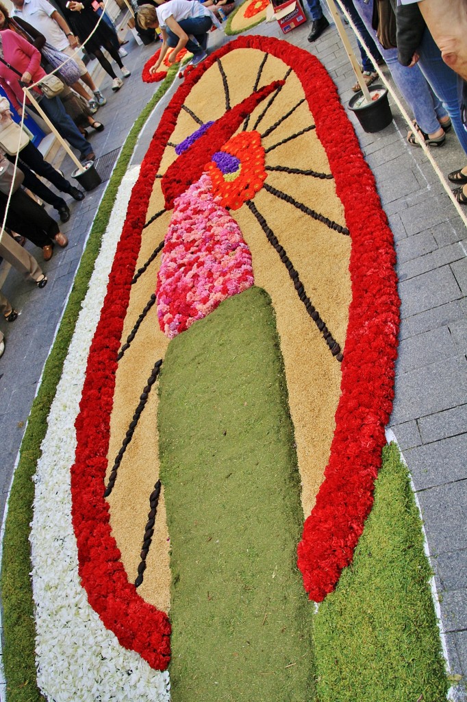 Foto: Alfombra de flores - Sitges (Barcelona), España