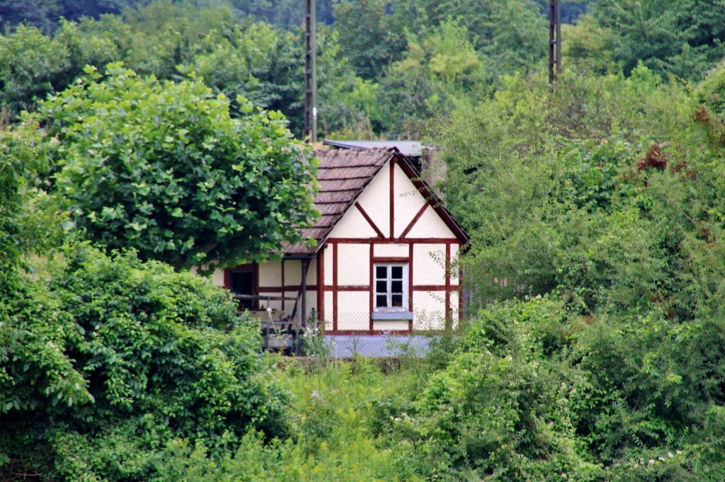 Foto: Vistas - Boppard (Rhineland-Palatinate), Alemania