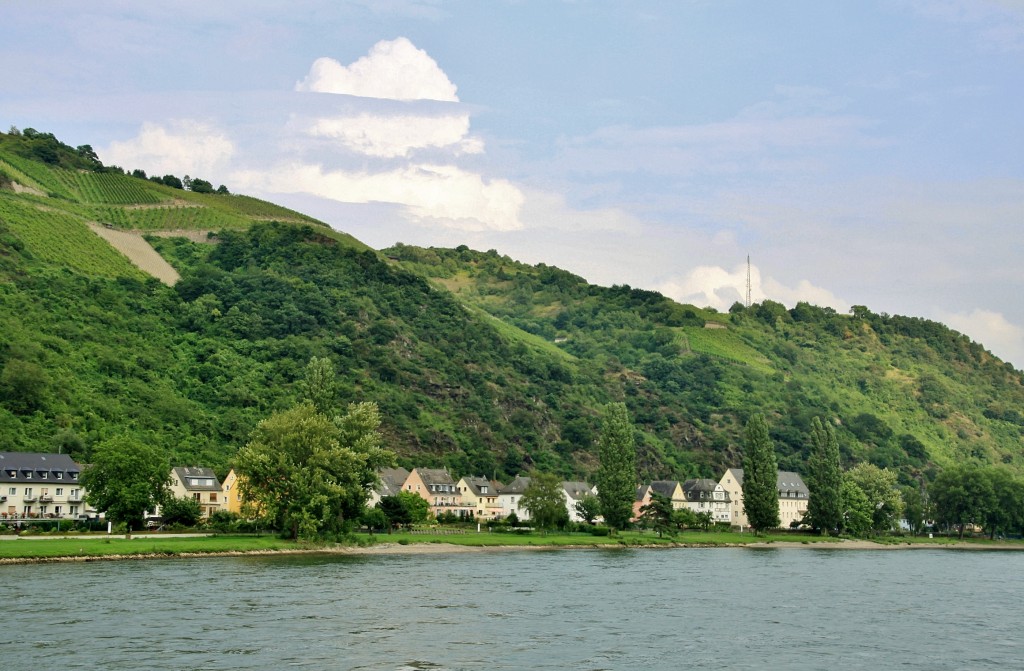 Foto: Navegando - Sankt Goar (Rhineland-Palatinate), Alemania