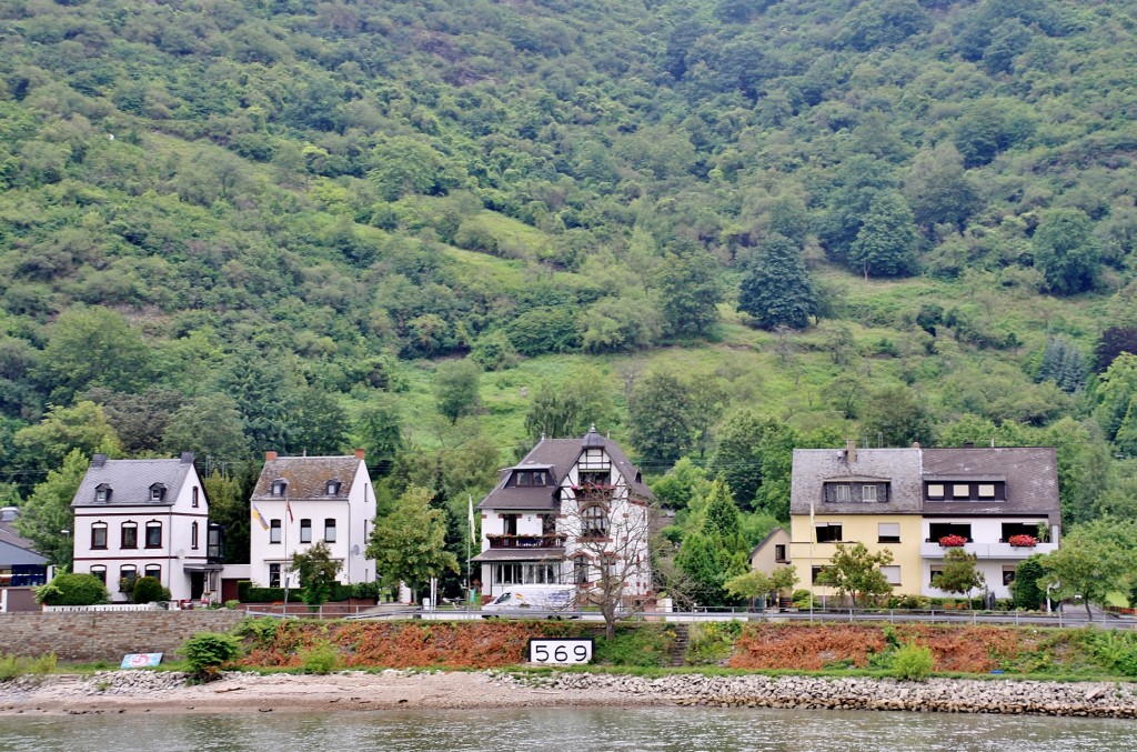 Foto: Vista del pueblo - Kamp-Bornhofen (Rhineland-Palatinate), Alemania