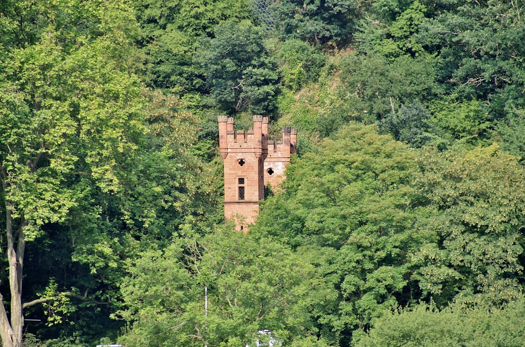 Foto: Navegando - Sankt Goar (Rhineland-Palatinate), Alemania