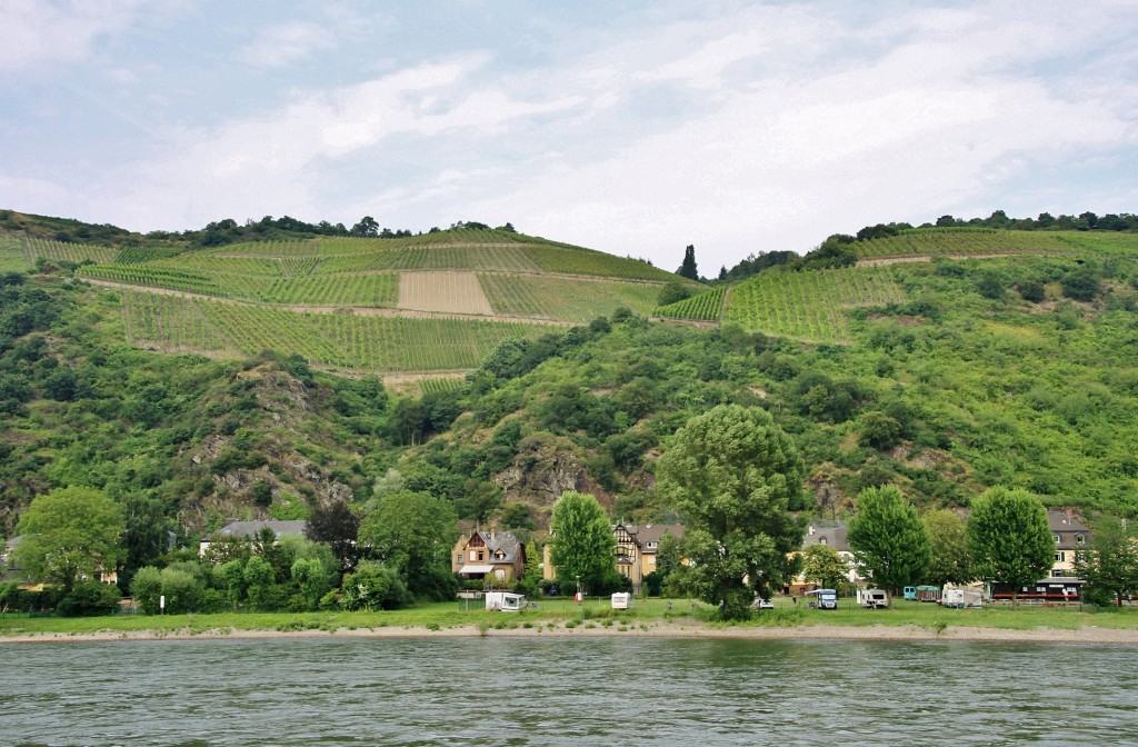 Foto: Navegando - Sankt Goar (Rhineland-Palatinate), Alemania