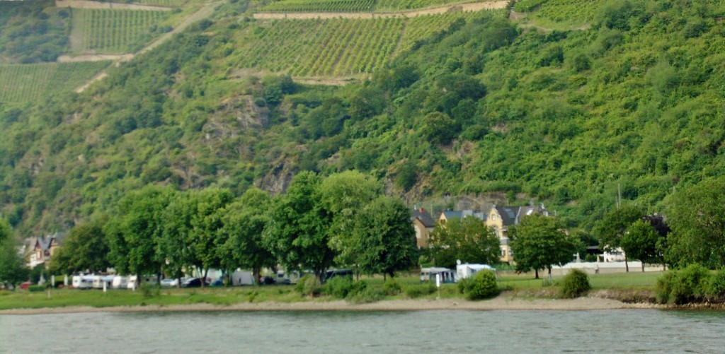 Foto: Navegando - Sankt Goar (Rhineland-Palatinate), Alemania