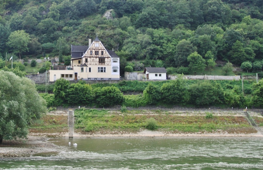 Foto: Navegando - Sankt Goar (Rhineland-Palatinate), Alemania