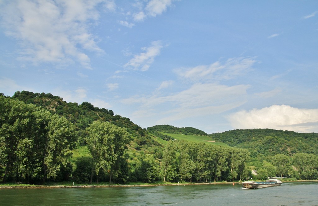 Foto: Navegando - Sankt Goar (Rhineland-Palatinate), Alemania