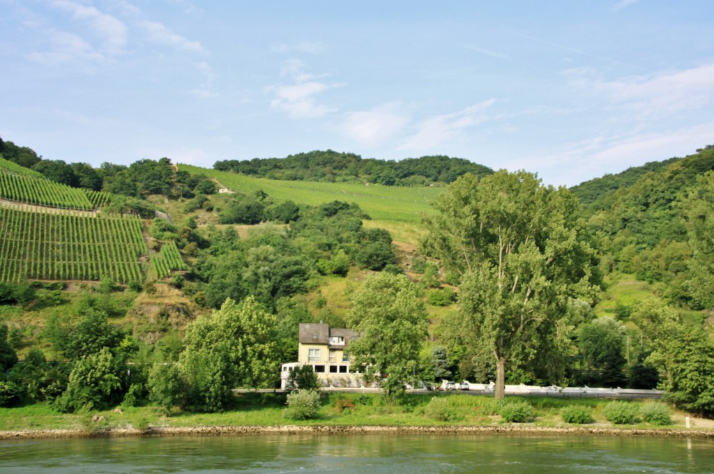 Foto: Navegando - Sankt Goar (Rhineland-Palatinate), Alemania