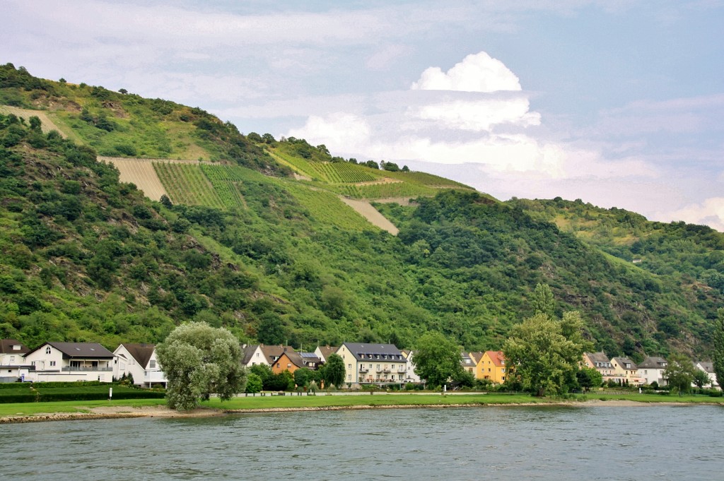 Foto: Navegando - Sankt Goar (Rhineland-Palatinate), Alemania