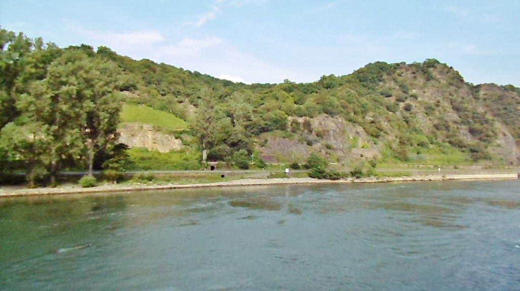 Foto: Navegando - Sankt Goar (Rhineland-Palatinate), Alemania