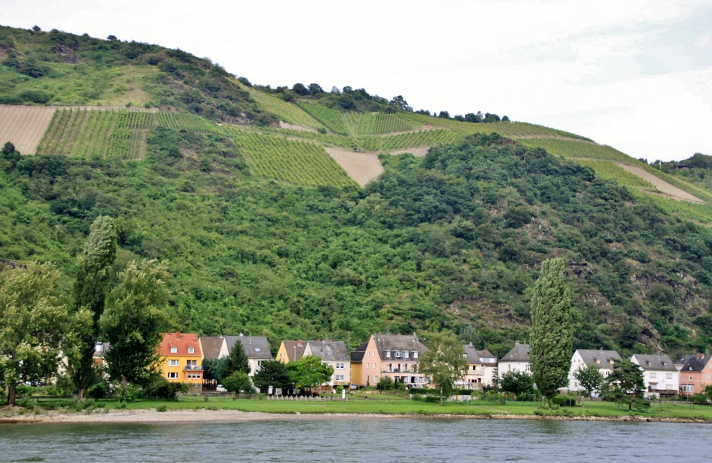 Foto: Navegando - Sankt Goar (Rhineland-Palatinate), Alemania