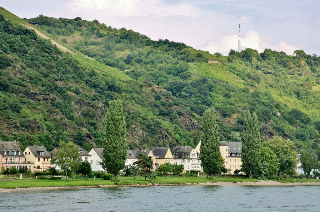 Foto: Navegando - Sankt Goar (Rhineland-Palatinate), Alemania