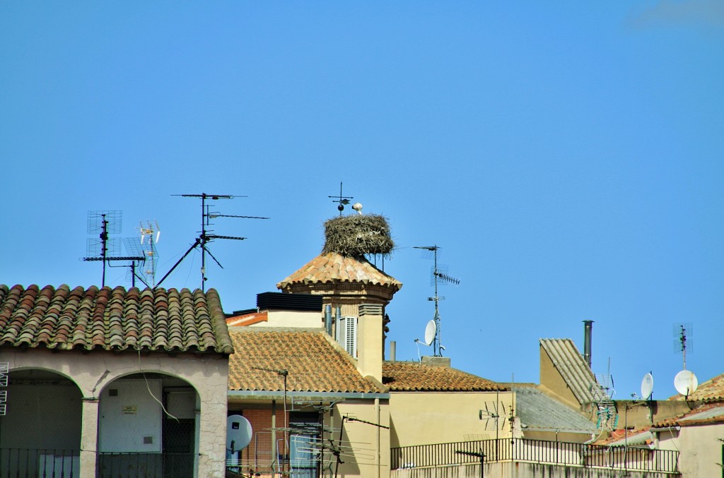 Foto: Centro histórico - Tarazona (Zaragoza), España