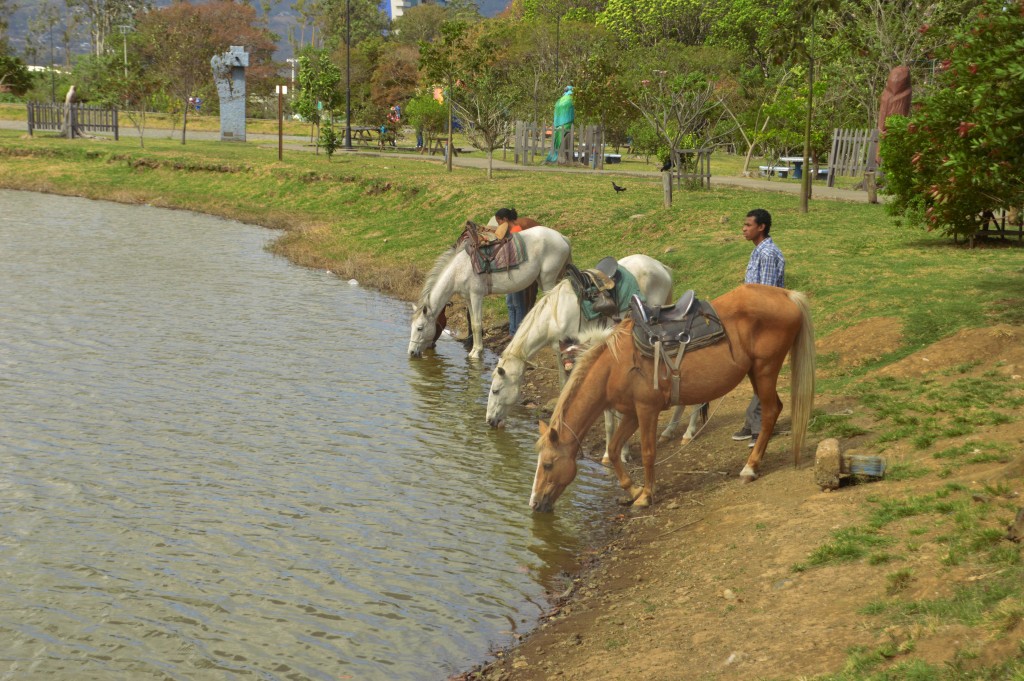 Foto de Alajuela, Costa Rica