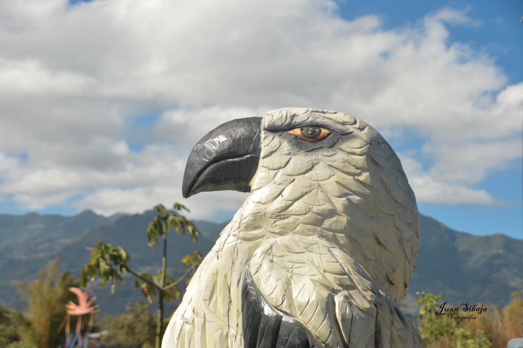 Foto de Alajuela, Costa Rica