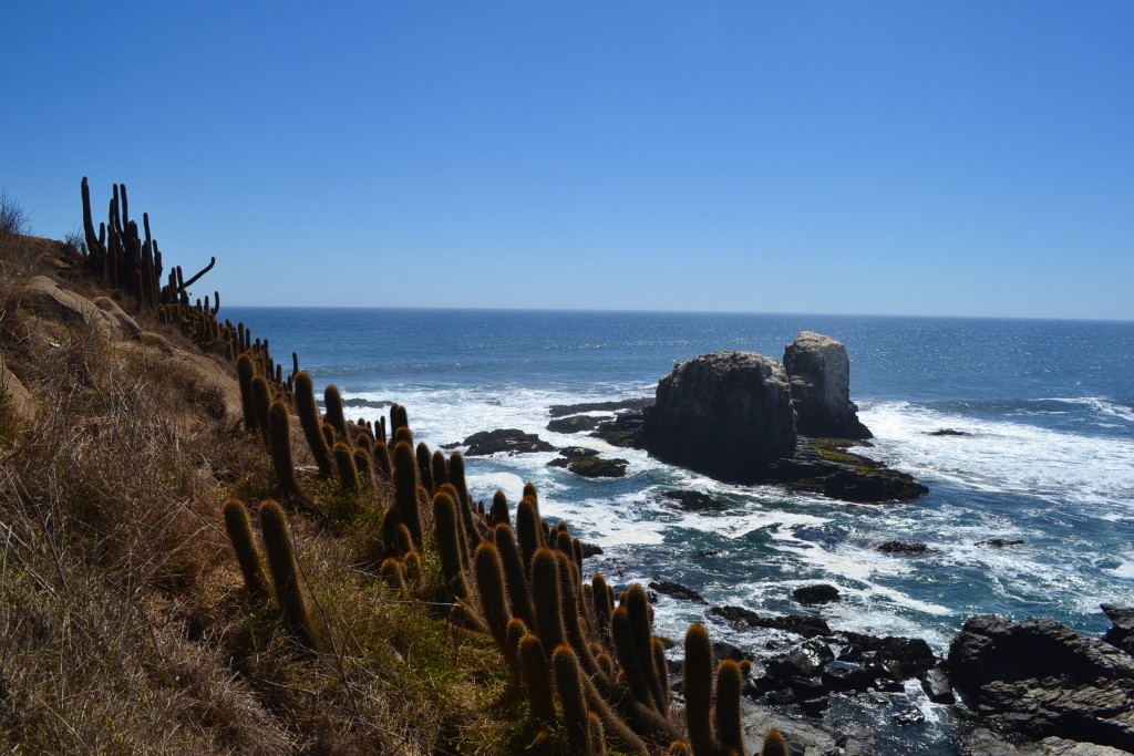 Foto de Lo de Lobos (Libertador General Bernardo OʼHiggins), Chile