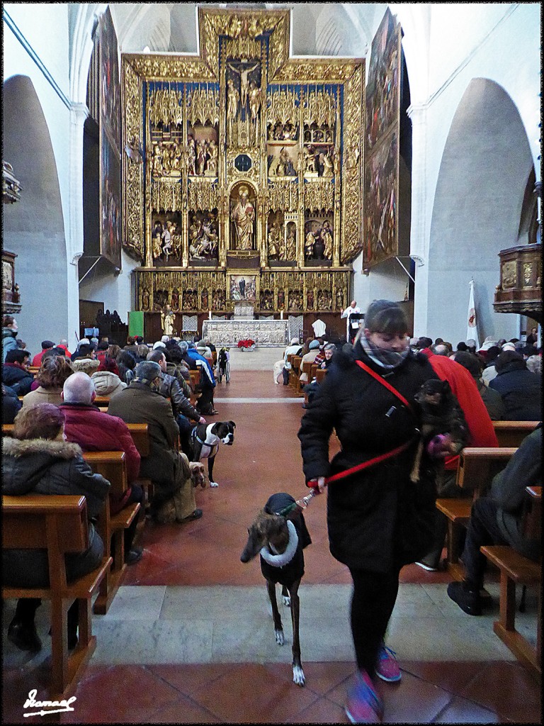 Foto: 170117-06 SAN ANTON SAN PABL - Zaragoza (Aragón), España