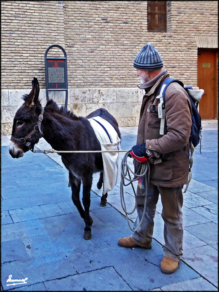 Foto: 170117-19 SAN ANTON SAN PABL - Zaragoza (Aragón), España