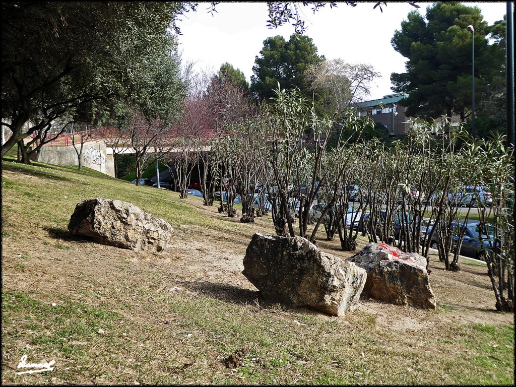 Foto: 170219-10 PARQUE MIRAFLORES - Zaragoza (Aragón), España