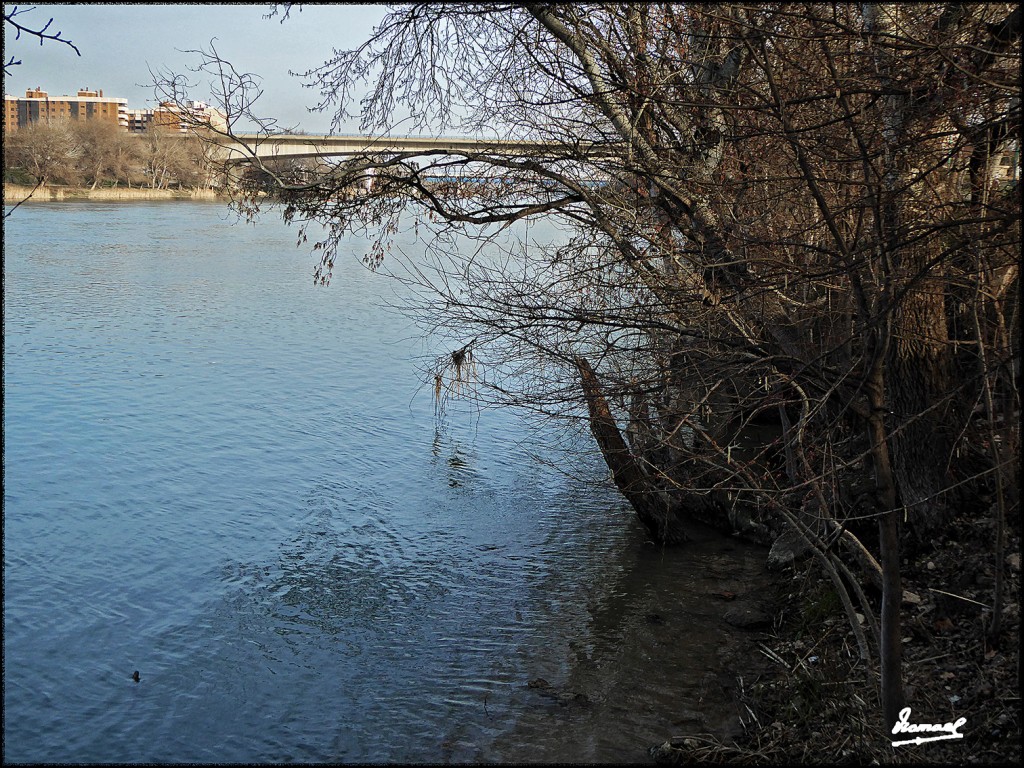 Foto: 170222-21 ZARAGOZA RIO EBRO - Zaragoza (Aragón), España