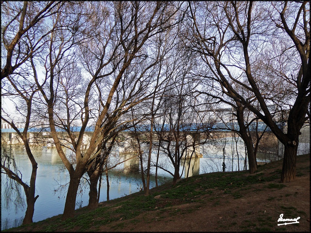 Foto: 170222-13 ZARAGOZA RIO EBRO - Zaragoza (Aragón), España