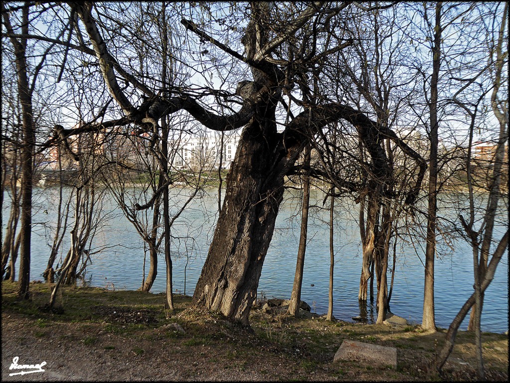 Foto: 170222-23 ZARAGOZA RIO EBRO - Zaragoza (Aragón), España