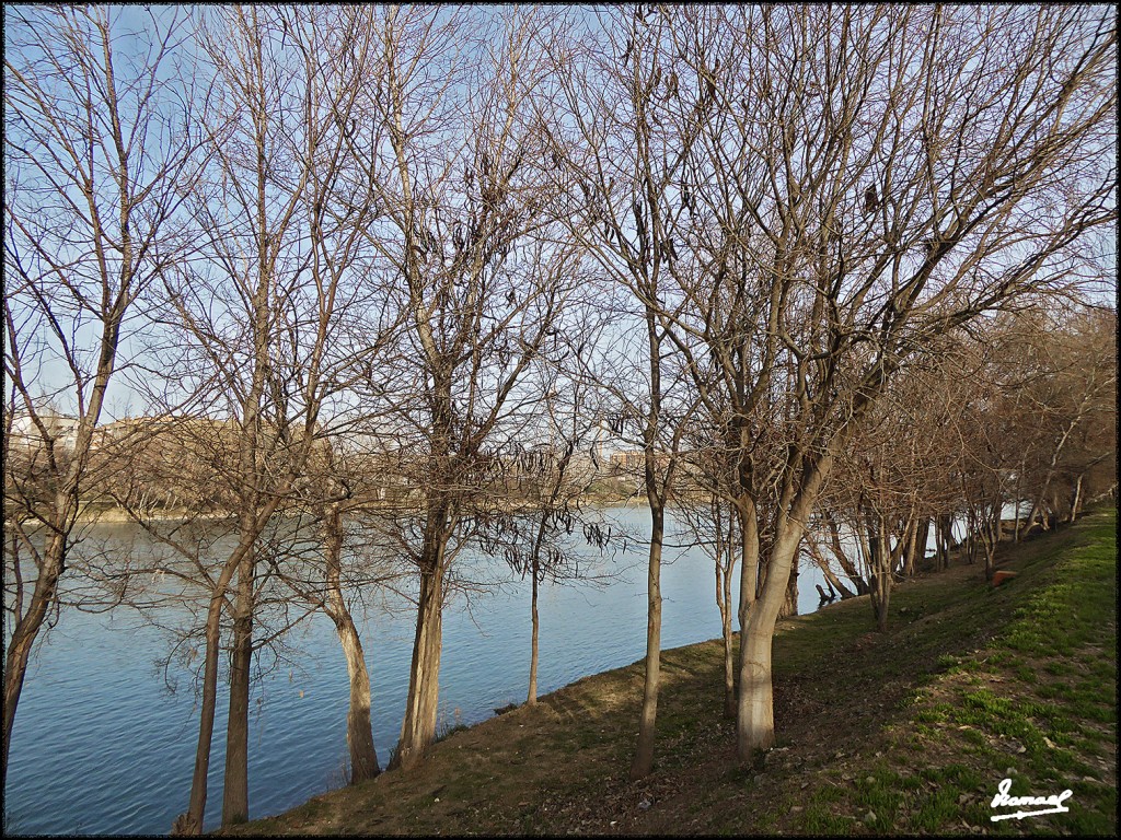 Foto: 170222-22 ZARAGOZA RIO EBRO - Zaragoza (Aragón), España