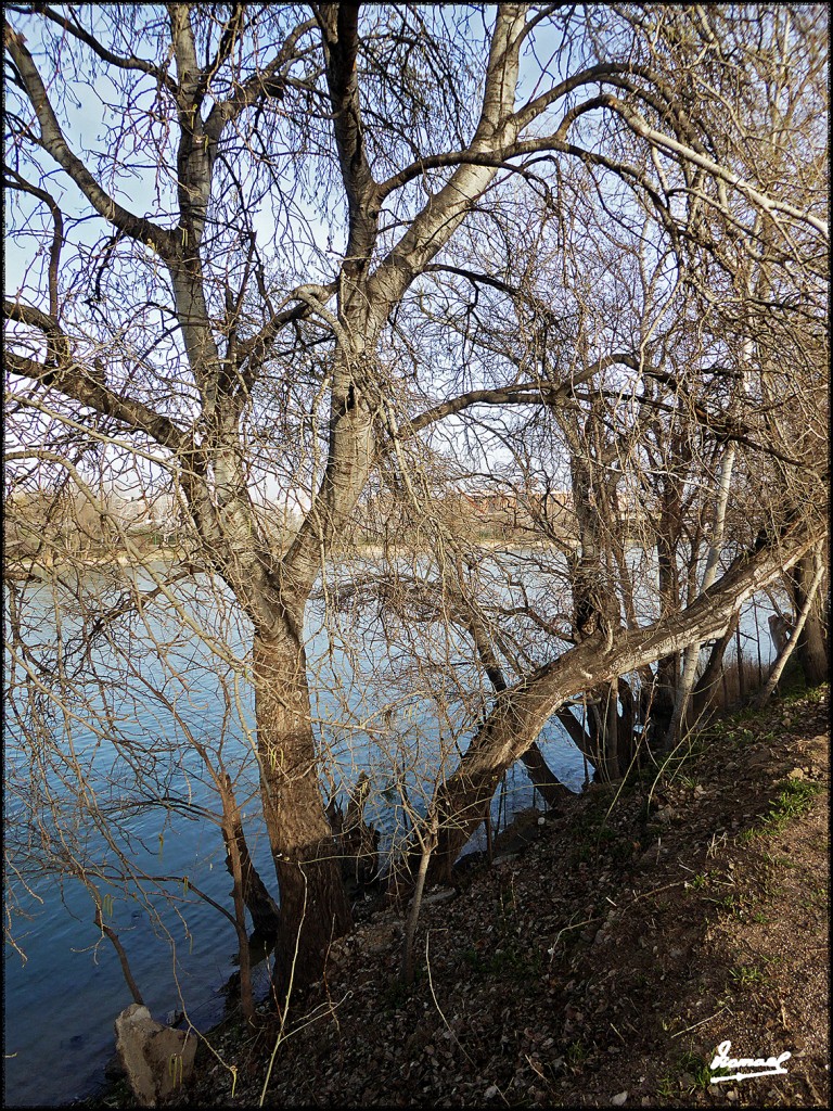 Foto: 170222-20 ZARAGOZA RIO EBRO - Zaragoza (Aragón), España