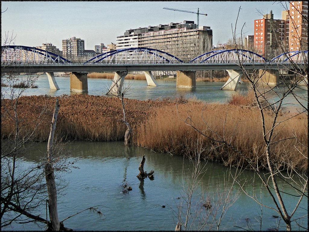 Foto: 170222-26 ZARAGOZA RIO EBRO - Zaragoza (Aragón), España