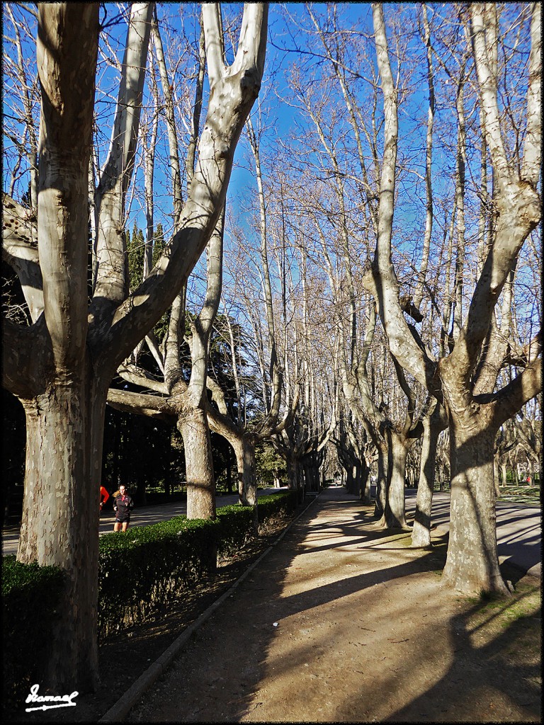 Foto: 170306-11 ZARAGOZA PARQUE - Zaragoza (Aragón), España