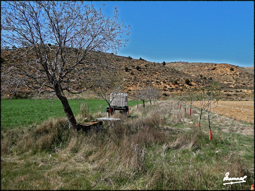 Foto: 170415-044 ALCONCHEL DE ARIZA - Alconchel De Ariza (Zaragoza), España