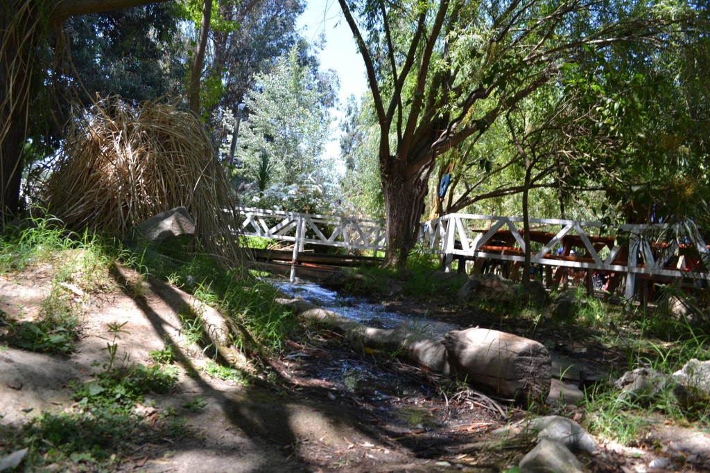 Foto de Rancagua (Libertador General Bernardo OʼHiggins), Chile