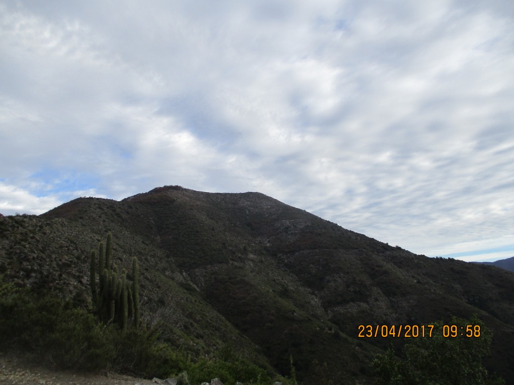 Foto: Alto del Llivi Llivi - Rancagua (Libertador General Bernardo OʼHiggins), Chile