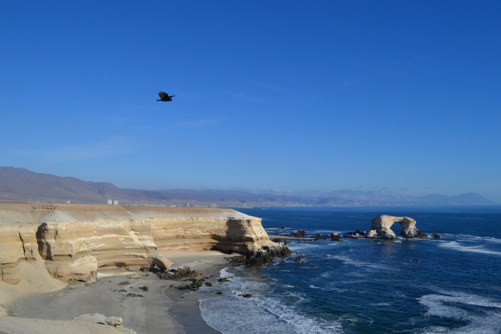 Foto: La Portada - Antofagasta, Chile