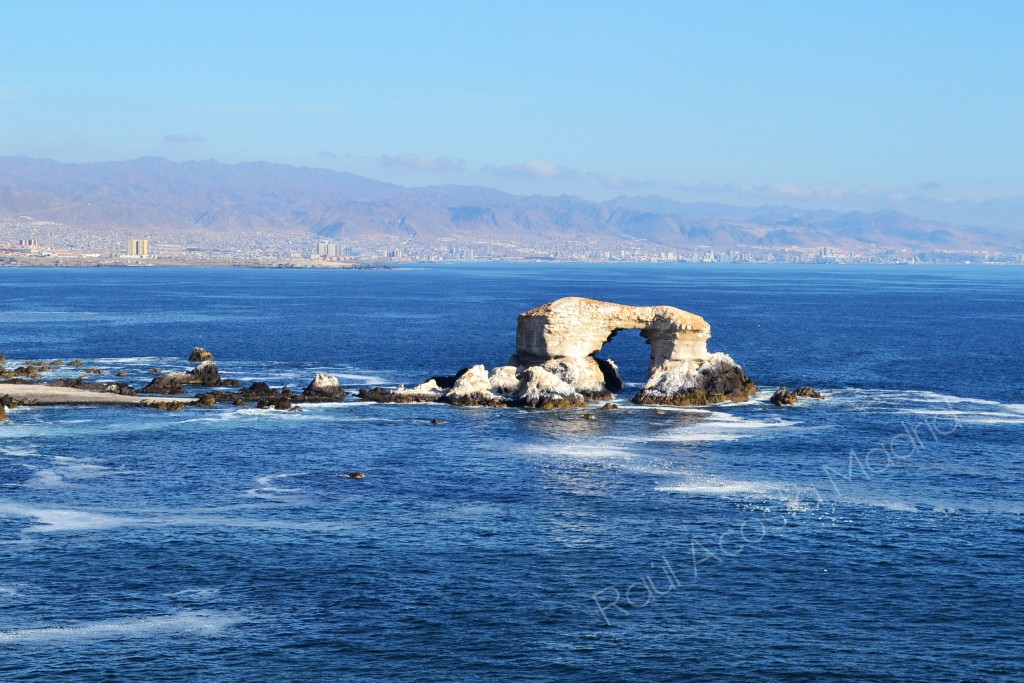 Foto: La Portada - Antofagasta, Chile