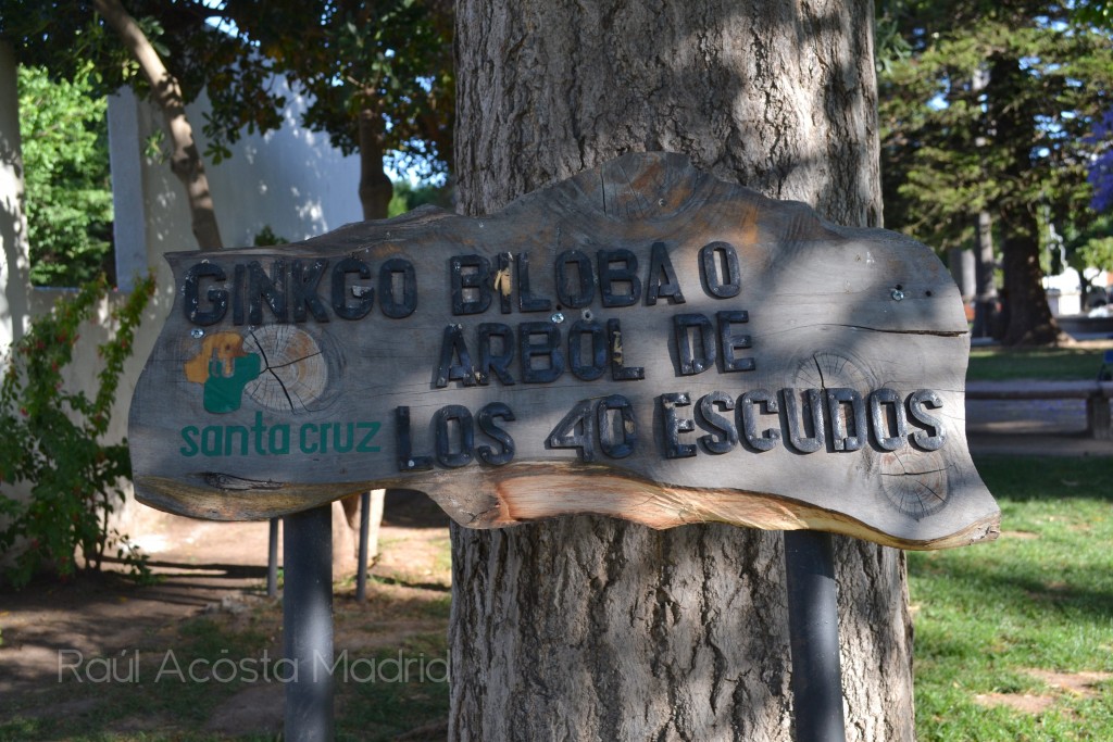 Foto de Santa Cruz (Libertador General Bernardo OʼHiggins), Chile