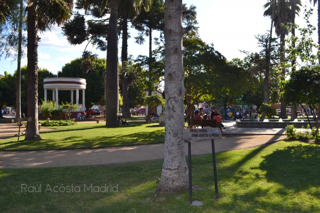 Foto de Santa Cruz (Libertador General Bernardo OʼHiggins), Chile