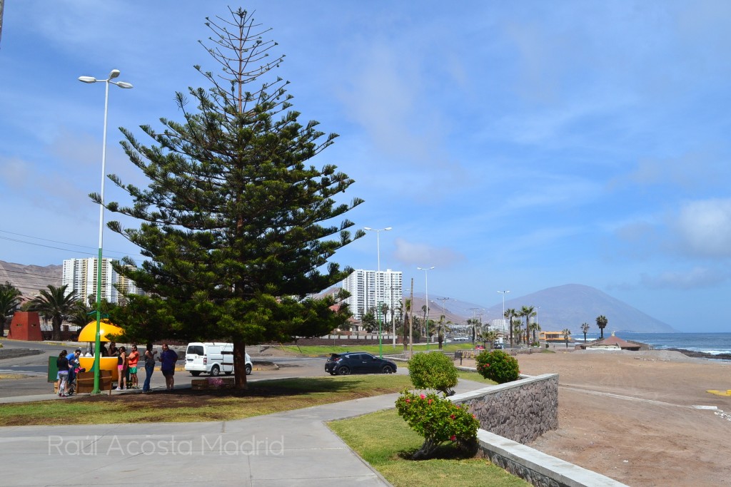 Foto de Antofagasta, Chile