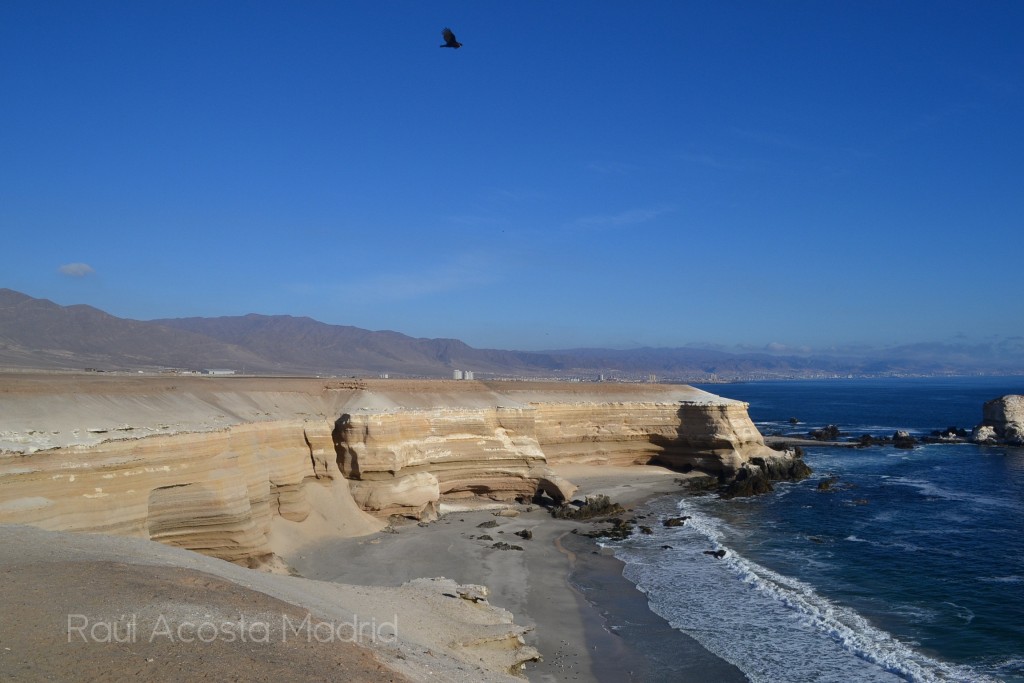 Foto de Antofagasta, Chile