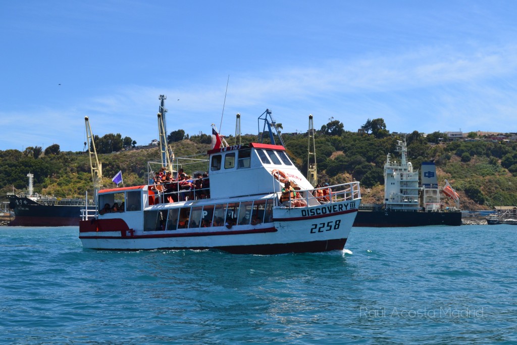 Foto de San Antonio (Valparaíso), Chile