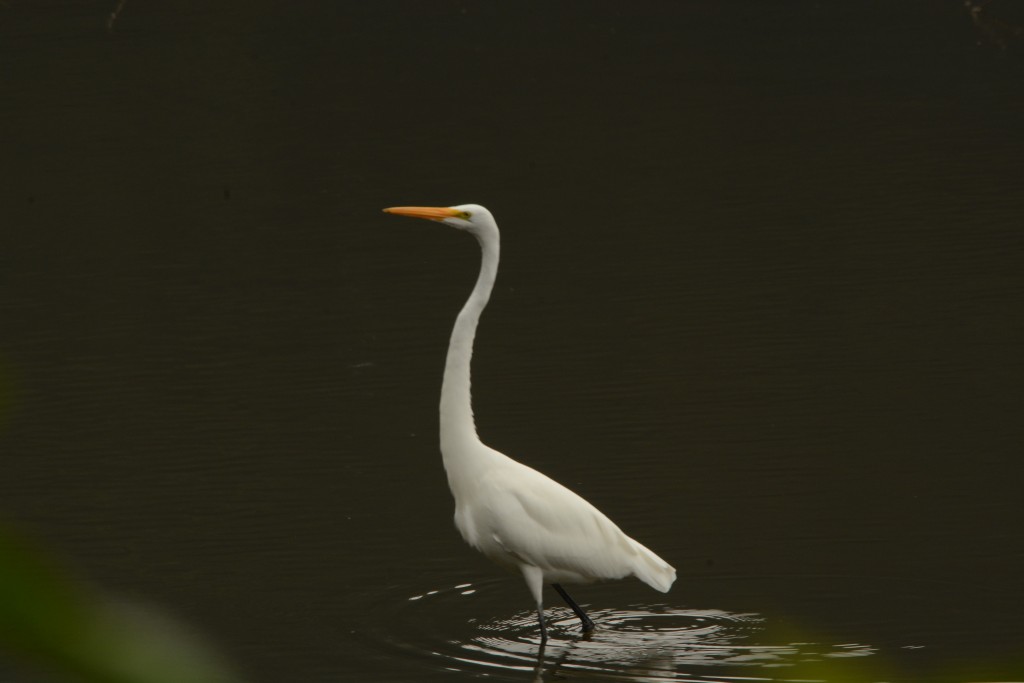 Foto de Laguna de Fraijanes (Alajuela), Costa Rica